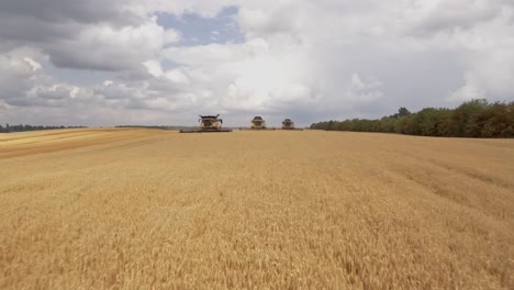 Tiefflug-über-Drei-Mähdrescher,-Die-Während-Der-Erntesaison-Goldenen-Weizen-Sammeln