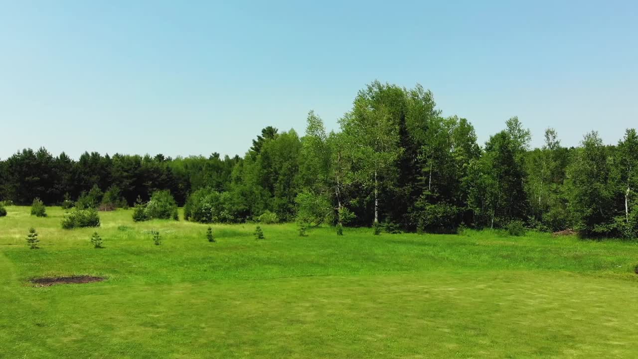 Slow motion shot of green grass and trees blowing in the wind.