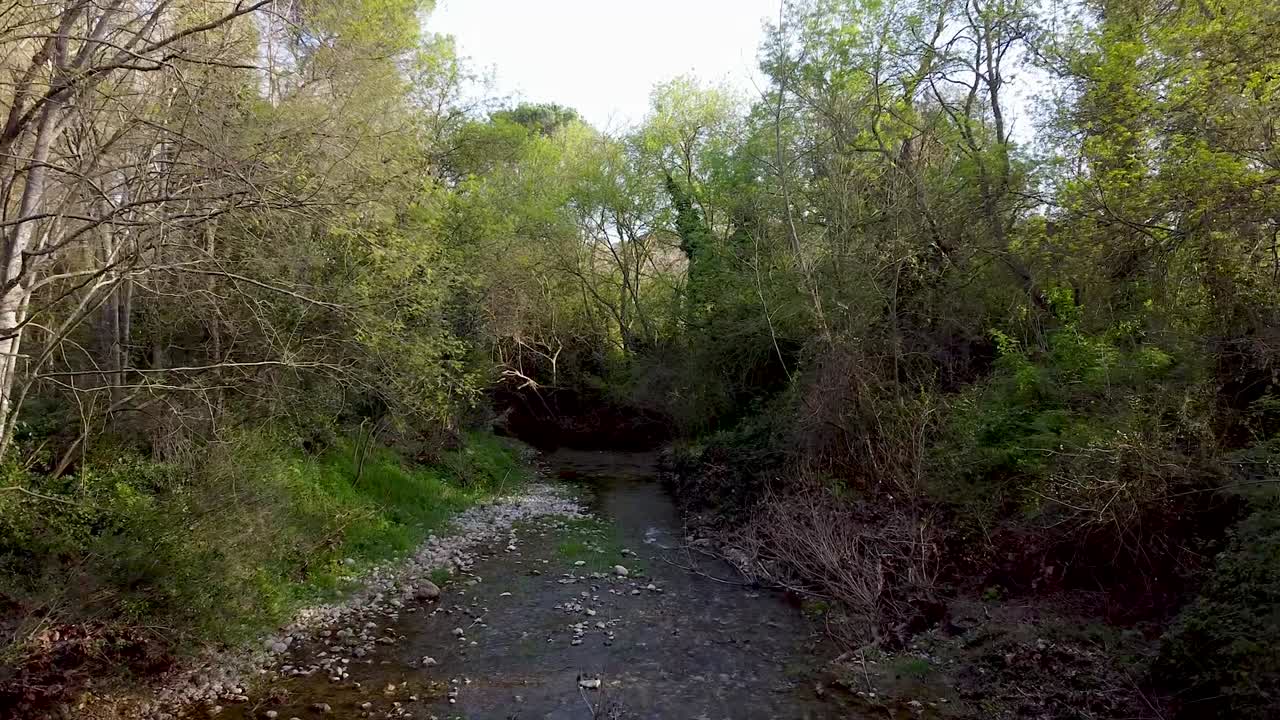 tirar a un río en el alt empordà, rodeado de árboles y naturaleza, ramas y agua que fluye