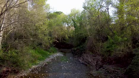 Tirar-A-Un-Río-En-El-Alt-Empordà,-Rodeado-De-árboles-Y-Naturaleza,-Ramas-Y-Agua-Que-Fluye