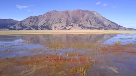 volando sobre un enorme humedal, una gran montaña reflejada en el reflejo del agua, un vasto paisaje salvaje en canadá, aéreo