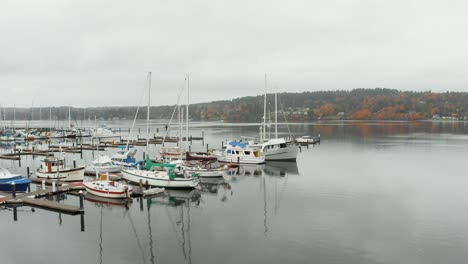 boats in the marina of calm lake on a cloudy day in washington, usa