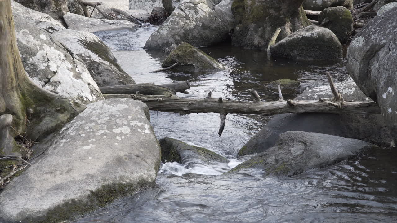 성. 펜실베니아의 피터스 빌리지