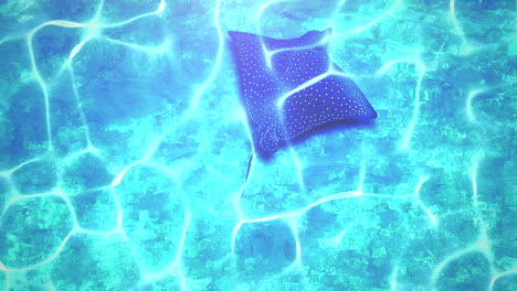 closeup stingray in underwater world with summer background 2