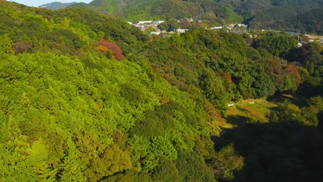 inclinación aérea sobre el paisaje de otoño en la prefectura de mie de japón