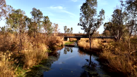 Heading upstream on a calm river, surrounded by lush vegetation and approaching a picturesque vehicle bridge in the distance