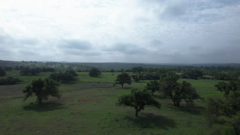 Vista-Aérea-De-Robles-En-Un-Pasto-En-La-Región-Montañosa-De-Texas.