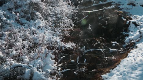 Klares-Wasser-Fließt-Auf-Dem-Bach-Mit-Schneebedeckten-Kahlen-Bäumen-Im-Banff-Nationalpark-In-Alberta,-Kanada-An-Einem-Sonnigen-Wintermorgen---Statischer-Schuss