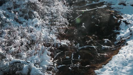 Agua-Clara-Que-Fluye-En-El-Arroyo-Con-Un-árbol-Desnudo-Lleno-De-Nieve-En-El-Parque-Nacional-De-Banff-En-Alberta,-Canadá-En-Una-Soleada-Mañana-De-Invierno---Tiro-Estático