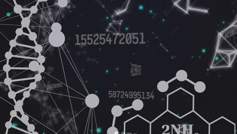 Animation-of-chemical-formulas-over-network-of-connections-and-dana-strand