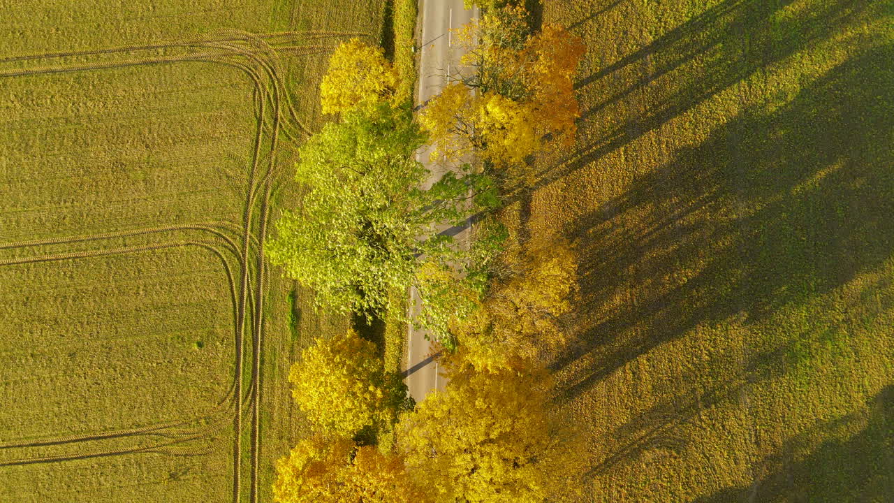 vista de coloridos árboles de otoño junto a la carretera en campos rurales cerca del pueblo de napromek en polonia