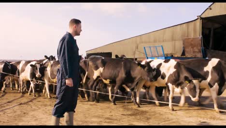 cattle farmer with herd of cattles