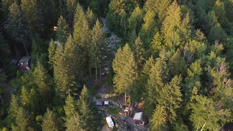 Vista-Aérea-De-Cabañas-En-Medio-De-Un-Parque-Forestal-De-Coníferas-Cerca-Del-Lago-Lillooet-En-Columbia-Británica,-Canadá