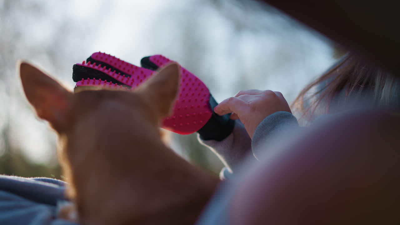 cuidado delicado de un perro, interacción tierna entre una persona y un cachorro durante una sesión de aseo, aseo afectuoso de una mascota mostrando caricias suaves y atención cariñosa entre el dueño y un perro pequeño