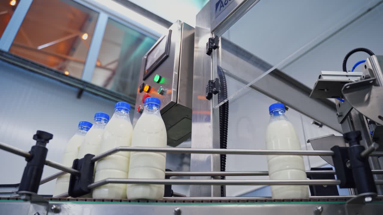 Fresh milk poured into bottles. Close up of automated process at milk factory