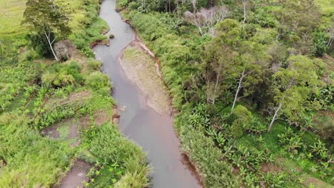 volando sobre un pequeño río tranquilo en un exuberante paisaje tropical, aéreo
