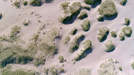 topdown tracking aerial of sand dunes with grass tufts