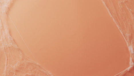 video of halloween spider's web and copy space on orange background