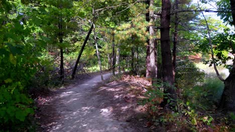 fore river sanctuary, portland, maine wooded trail