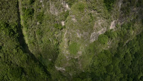 Antenne:-Üppig-Grüne-Klippen-In-Madeira-Portugal