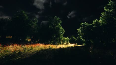 thunderstorm clouds with lightning in green meadow