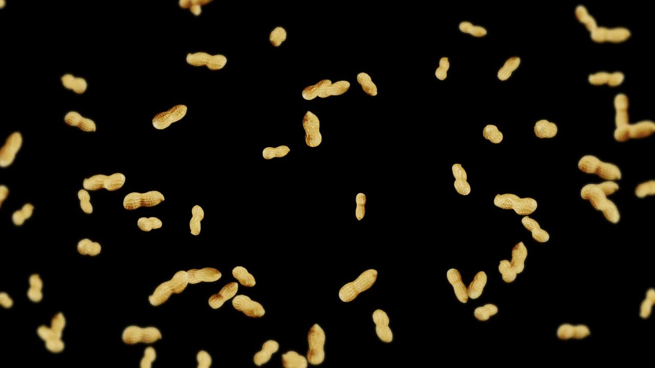 Molti arachidi che volano su sfondo nero. Arachidi crude. Arachidi con guscio. Cibo biologico sano. Animazione 3D in loop di semi che ruotano.