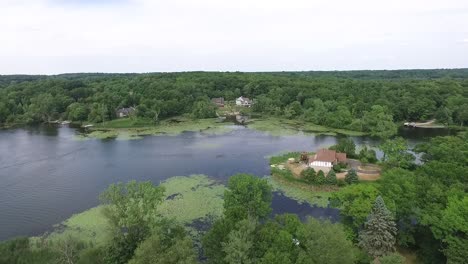 michigan lake adorned with lilypads