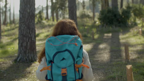 Rückansicht-Einer-Rothaarigen-Rucksacktouristin,-Die-An-Einem-Sonnigen-Tag-Im-Wald-Wandert