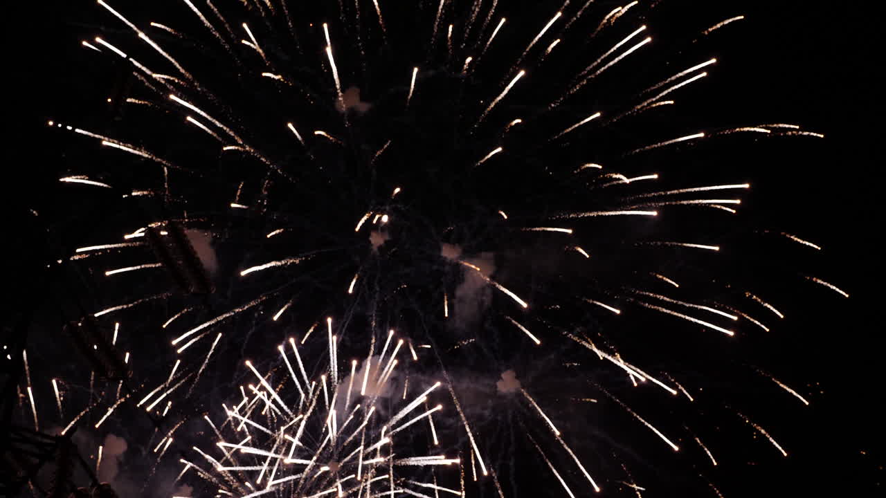 Exhibición de fuegos artificiales en el cielo nocturno