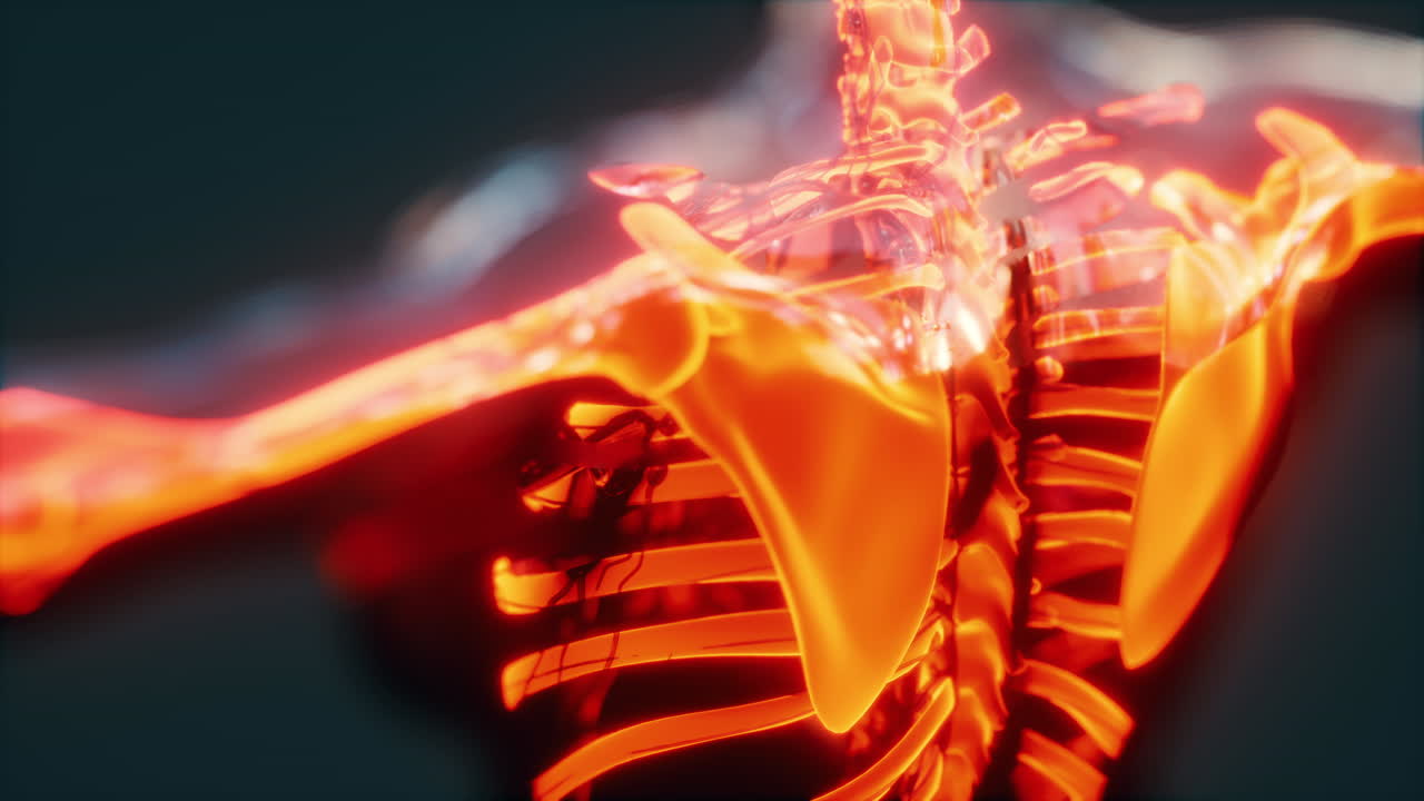 медицинское сканирование костей и суставов скелета человека