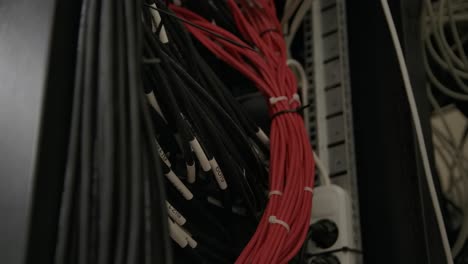 pack of internet cables placed behind modern internet network switch server