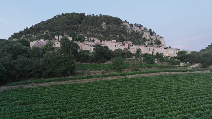 Ripresa aerea con drone della città medievale di Séguret, Vaucluse, Provenza, con vigneti al tramonto in Francia