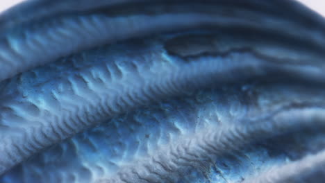 close-up of a blue stone