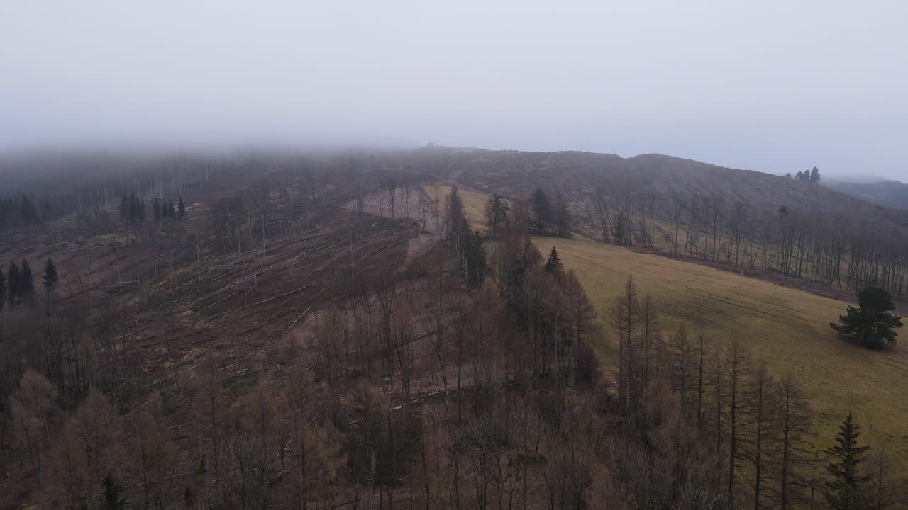 volando sobre el paisaje y el bosque bajo la espesa niebla durante la noche de invierno