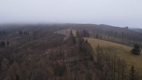 Volando-Sobre-El-Paisaje-Y-El-Bosque-Bajo-La-Espesa-Niebla-Durante-La-Noche-De-Invierno