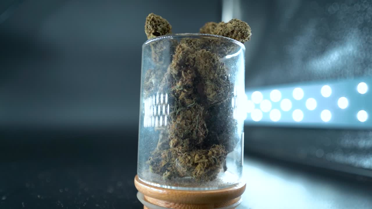 un zoom de grúa detallado en gimbal de una planta de cannabis, flor de marihuana en un vidrio brillante, cepas híbridas, indica y sativa, cámara lenta de 120 fps en alta definición, iluminación de estudio cinematográfico