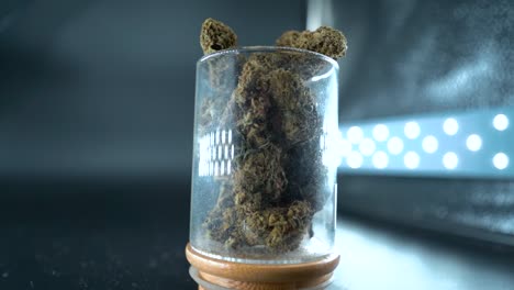 Un-Primer-Plano-Detallado-Con-Zoom-De-Grúa-En-Una-Toma-De-Cardán-De-Una-Planta-De-Cannabis,-Flor-De-Marihuana-En-Un-Vaso-Brillante,-Cepas-Híbridas,-índica-Y-Sativa,-Cámara-Lenta-De-120-Fps-En-Alta-Definición,-Iluminación-De-Estudio-Cinematográfico