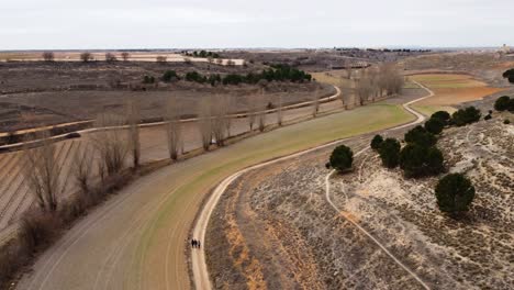 arroyo cantarranas and dry poplars