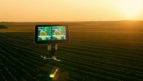 un dron con una pantalla digital en un campo verde durante el atardecer