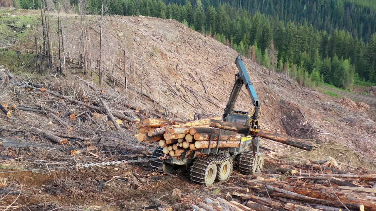 British Columbia Forestry: Overhead Shot of Forwarder in Steep Environment