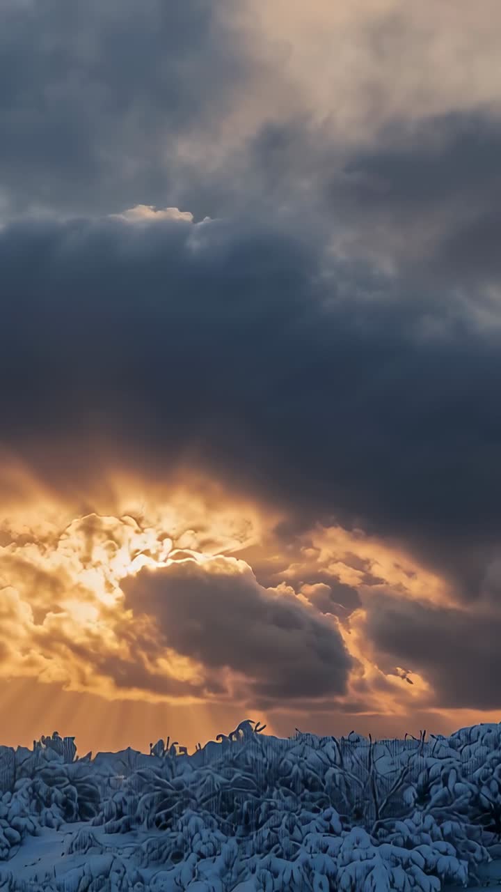 Vertical video: Shifting dark clouds with wind casting beams to snow shrubs at horizon bird passing