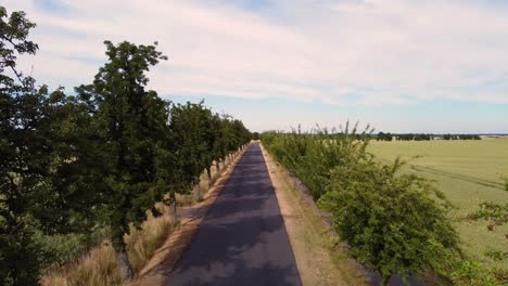 slow flight over narrow road past trees