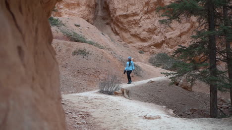 Mujer-Joven-En-La-Ruta-De-Senderismo-En-El-Parque-Nacional-Bryce-Canyon,-Utah-Usa,-Cámara-Lenta