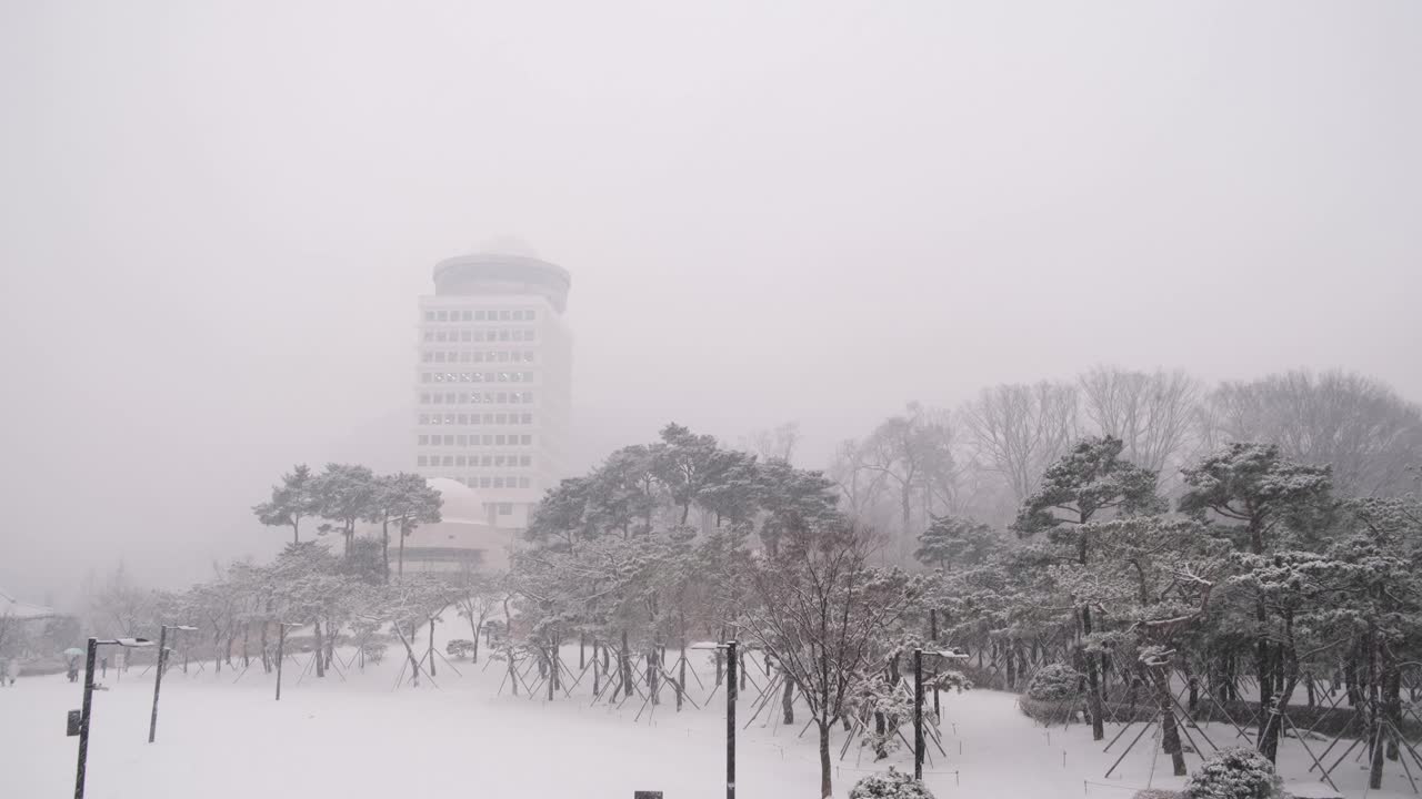 서울의 폭설 폭풍 눈보라, 영화 같은 스카이라인 도시 풍경, 극한의 날씨