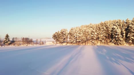 Golden-sun-shinning-on-conifer-forest-covered-in-pure-white-snow,-aerial-ascend-shot