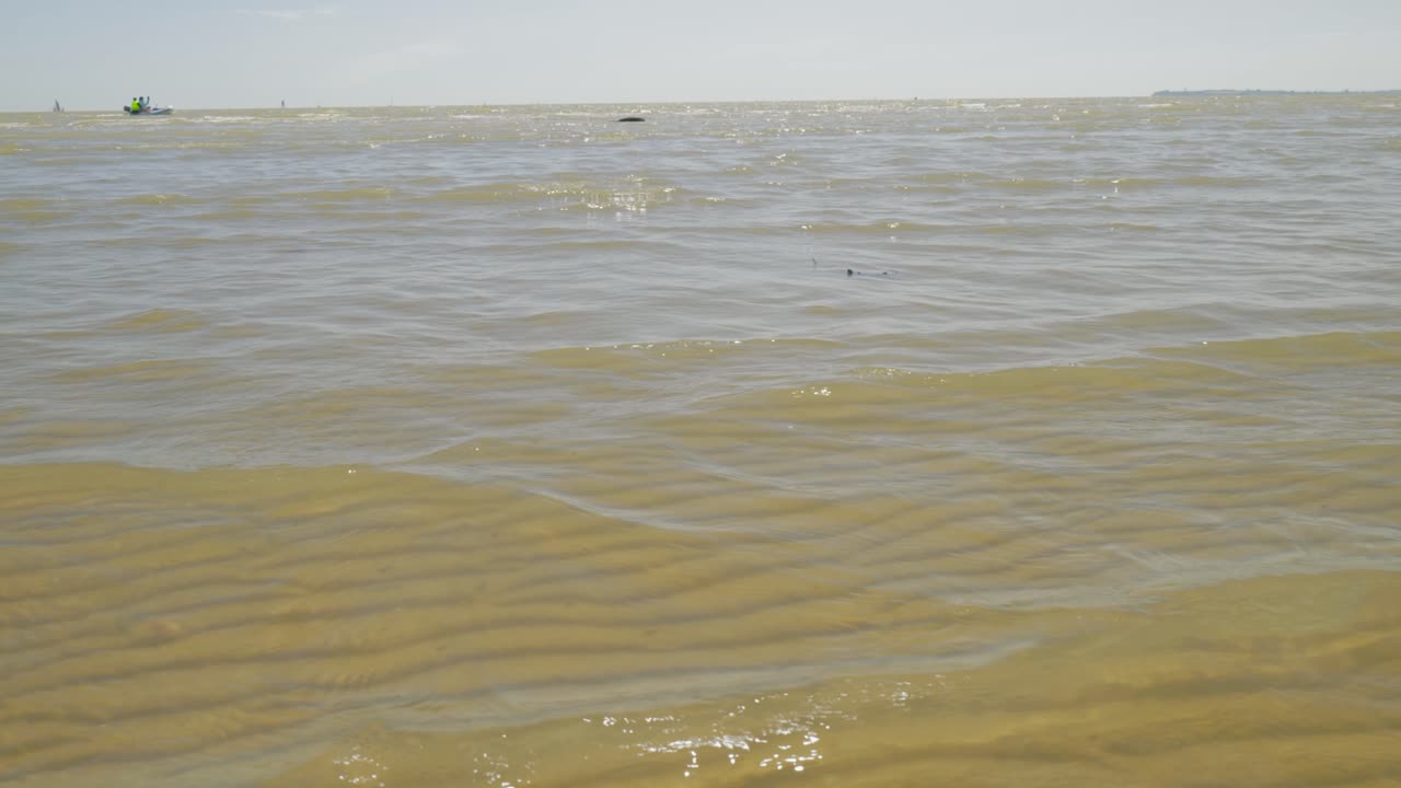 잉글랜드 에섹스 주 하위치 에 있는 항구 해변 과 멀리 있는 항해 보트