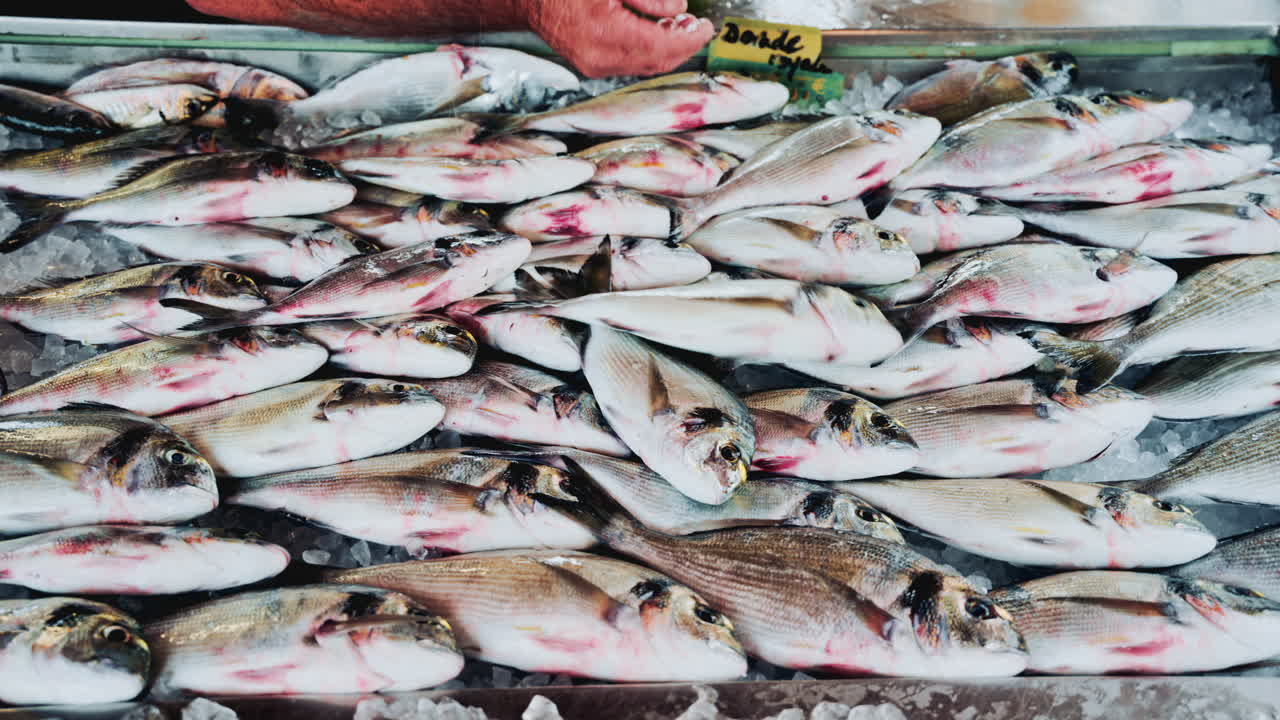 Close up shot of fresh whole fish being neatly arranged on a bed of crushed ice at a seafood market, highlighting their shiny scales and premium quality