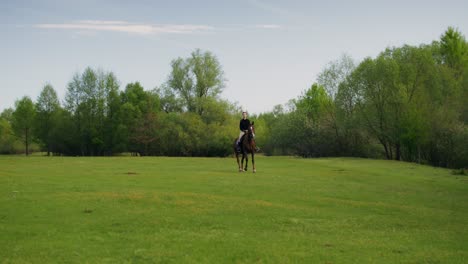 woman horseback riding in a field