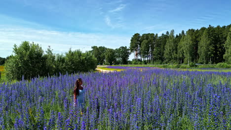 Mujer-Vestida-De-Blanco-En-Un-Campo-De-Flores-Moradas-En-Flor,-Jardín-Al-Aire-Libre