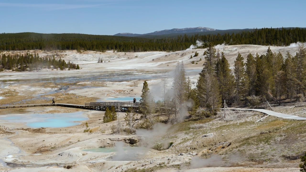 Panorama over Norris Geyser Basin i Yellowstone nasjonalpark, Wyoming